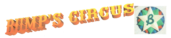 The Bump's Circus logo is carved and painted on all the equipment, and seems to have a lot of color!